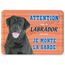 Photo Libre De Droit De Chien Marron Noir Blanc Sur La Tête