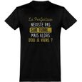 tee shirt homme humour | Cadeau imprimé en France | 100% coton, 185gr |  la perfection n'existe pas-0