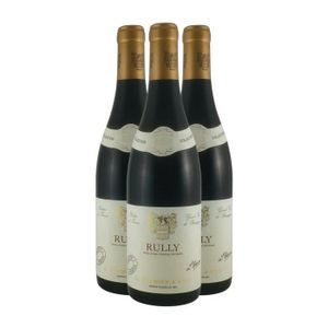 VIN ROUGE Rully Rouge 2022 - Lot de 3x75cl - Maison Tramier - Vin AOC Rouge de Bourgogne - Cépage Pinot Noir