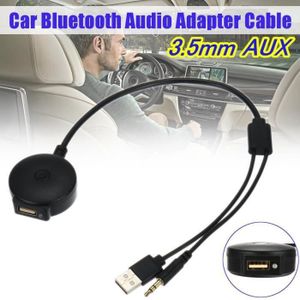 Adaptateur Bluetooth pour changeur CD d'autoradio - Mains-libres - Pour  sorties A2DP USB SD - Pour Mini Cooper R50 R52 R53 [299] - Cdiscount Auto