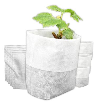Lot De 50 Pots à Semis Carrés 7x6.5cm - Plastique Réutilisable - Avec Trous De Drainage - Pour Semis, Boutures, Repiquage