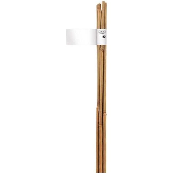 Tuteur Bambou Hauteur : 90cm