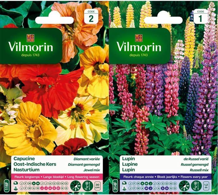 100 Graines De Lupin De Russel Varié - Plante Vivace Colorée 80-120cm, Mélange Bleu, Rose, Rouge, Jaune, Violet - 2