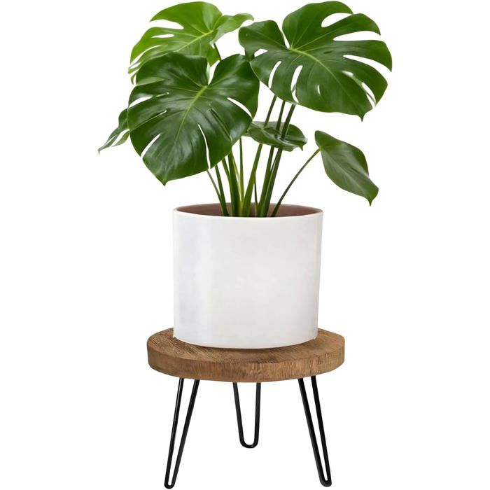 Support Pour Plantes En Bois-Rond-Grande Charge-25Cm-Pour Différentes Tailles De Pots-Étagère À Plantes-Pour Salon Balcon Et[CA353]