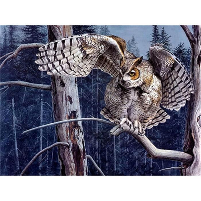 Kit Diamond Painting Complet – Cardinal Oiseau Paysage 5D, Toile 30x40 Cm | DIY Mosaïque Diamants