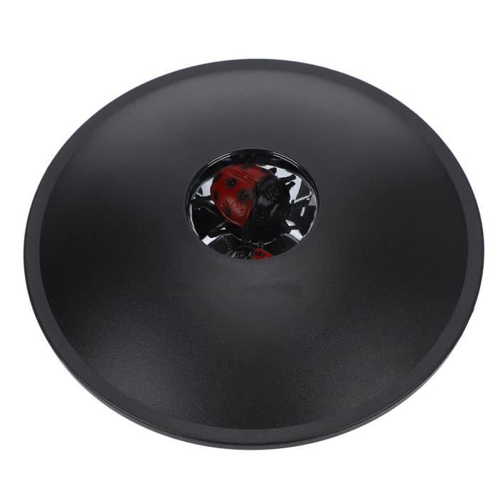 3D Mirascope jouet Illusion d'optique Projection d'image hologramme Image créateur avec coccinelle modèle cadeau pour enfants et