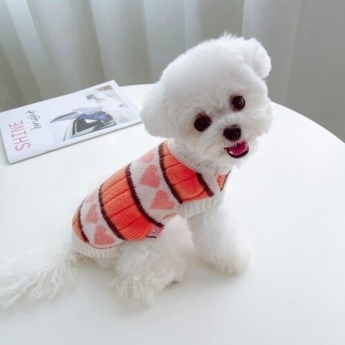 Manteau pour top bichon