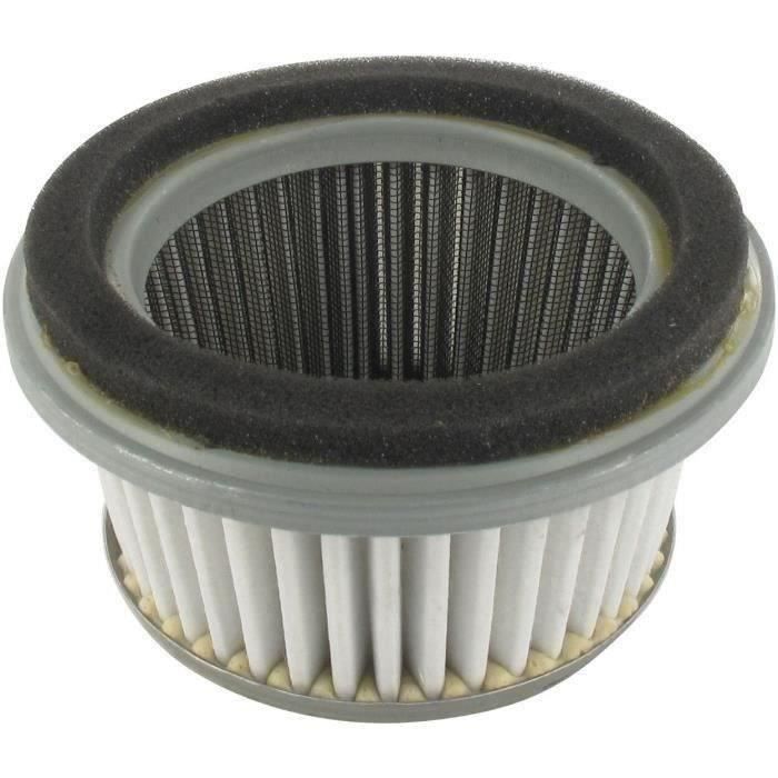 Filtre à air adaptable pour ROBIN EY27 (7,5 ch