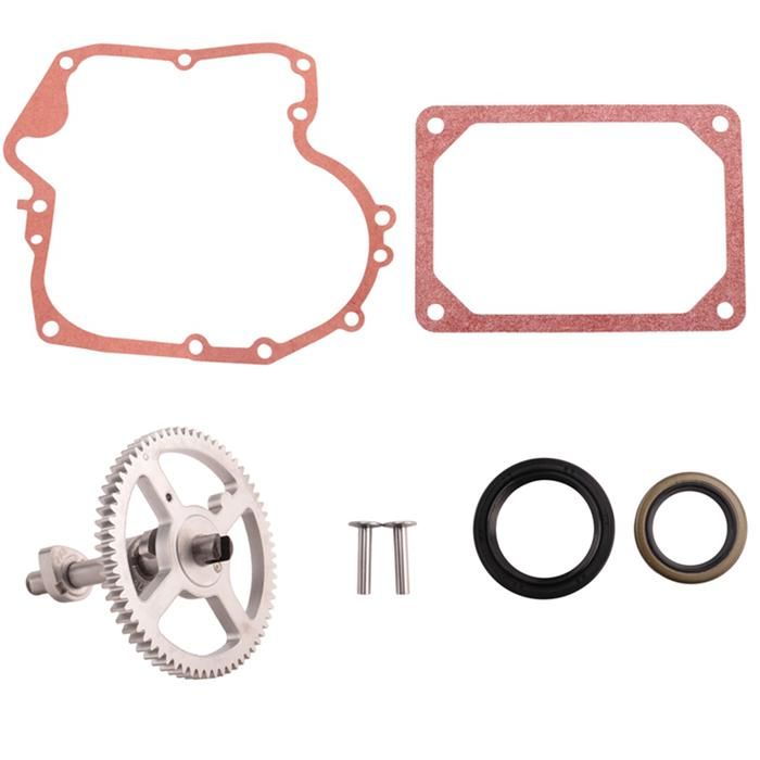 84005207 793880 Kit de Remplacement D'Arbre à Cames - pour Brigg ...