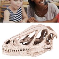 LES Modèle De Crâne De Dinosaure En Résine | Squelette D'Animal Simulé, Décor De Bureau À Domicile, Accessoire D'Enseignement Ar A3
