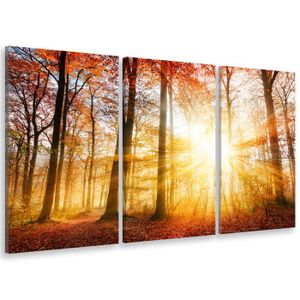 Tableau Sur Toile ARTTOR 50x70cm - Forêt, Feuilles, Soleil - Impression Nature - Décoration Murale