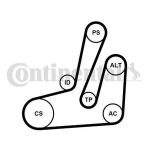 Contitech 4pk841 crantées Audi Chevrolet Citroen Fiat Ford JAG
