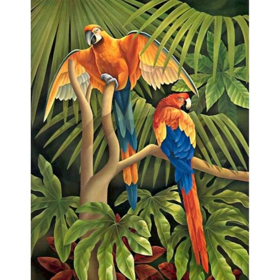 Hiolife – Peinture Par Numéro Enfant Et Débutant, Animaux Oiseaux, 40 X 50 Cm, Kit Acrylique Sans Cadre, 3 Pinceaux