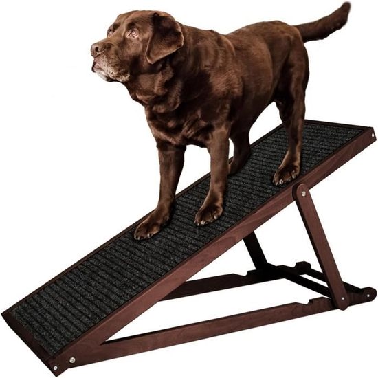 Rampe Pour Chien Et Chat - 30x15x25 Cm - En Bois Antidérapant - Pour Canapé, Lit, Voiture - Animaux âgés