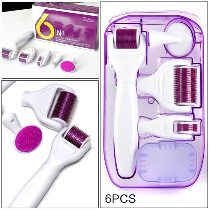 Kit Microneedle 6 En 1 Derma Roller Instrument De Soins Du Visage Et Peau Système De Rouleau Facial À Micro-Aiguille En Titane