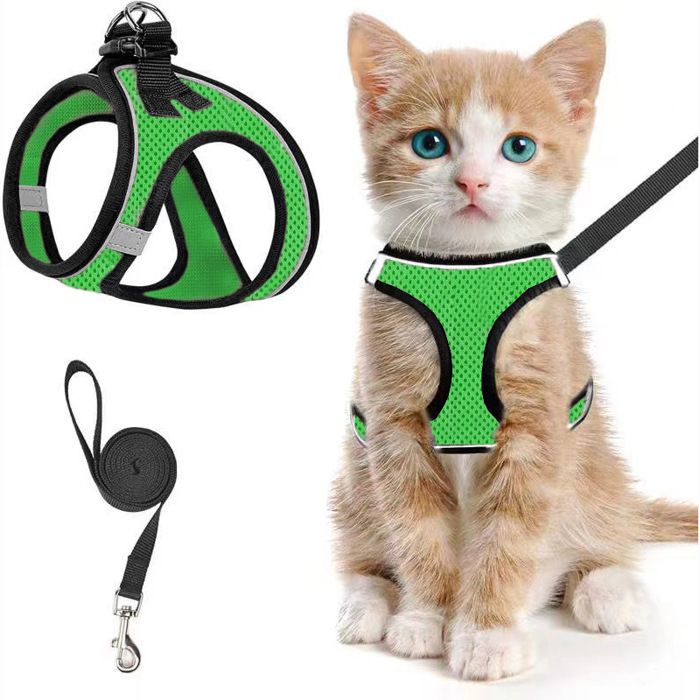 Harnais pour chat taille M + laisse 150cm harnais respirant et réfléchissant anti-évasion pour chat - Vert