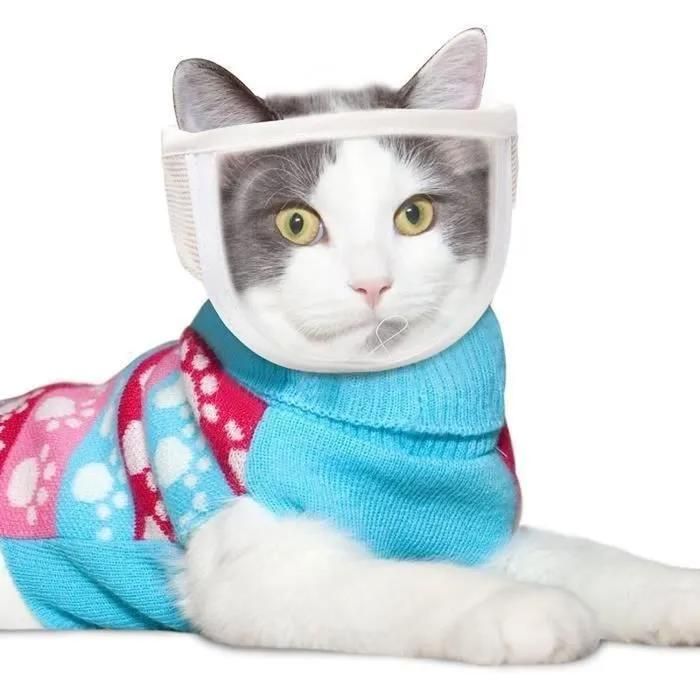 Muselière Réglable Pour Chat Masque Respirant Anti-morsure Pour Toilettage Empêche Mordre Et Lécher Taille M