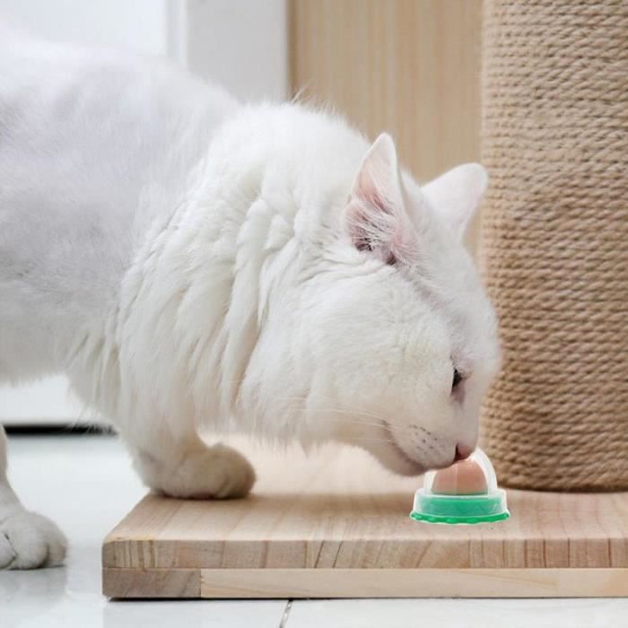 Casse Croute Sain Pour Chat Herbe Aux Chats Sucre Bonbons Lechage Boule Energetique Jouet Outil D Aide Pour C 1pcs Wl6 Cdiscount