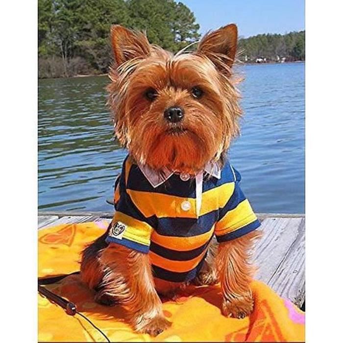 5D DIY Diamond Painting Kit Chien Chihuahua Broderie Diamant Complet Pour Adultes Enfants Grande Point De Croix Cristal Strass Arts Craft Pour Salon Chambre Décoration Murale Square Drill,80x100cm