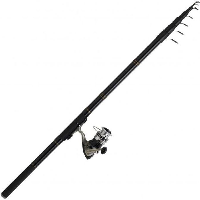 Ensemble Téléréglable 4.2 m Set Reg 04 Daiwa