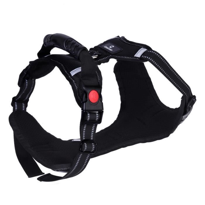 Harnais Pour Chien Avec Laisse Rétractable Intégrée – Jackpotpromo