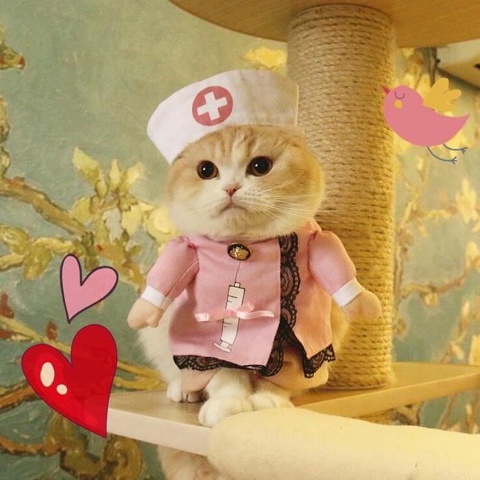 Tempsa Animaux Chien Chat Costume Cosplay Vetements Pour Halloween Noel Etrange Mignon Cdiscount