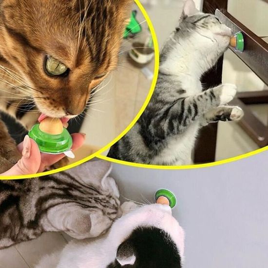 Casse Croute Sain Pour Chat Herbe Aux Chats Sucre Bonbons Lechage Boule Energetique Jouet Outil D Aide Pour C 1pcs Wl6 Cdiscount