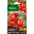 Graines de Tomate Aligote - VILMORIN - Type mini allongé - Rustique et vigoureuse-0