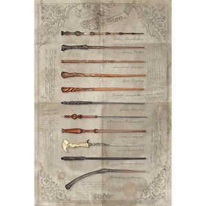 AFFICHE - POSTER HARRY POTTER - Poster 61x91 - The Wand chooses the
