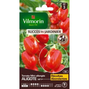 GRAINE - SEMENCE Graines de Tomate Aligote - VILMORIN - Type mini a