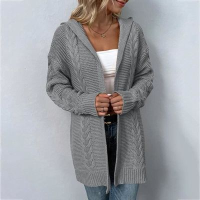 Long gilet capuche 2025 femme
