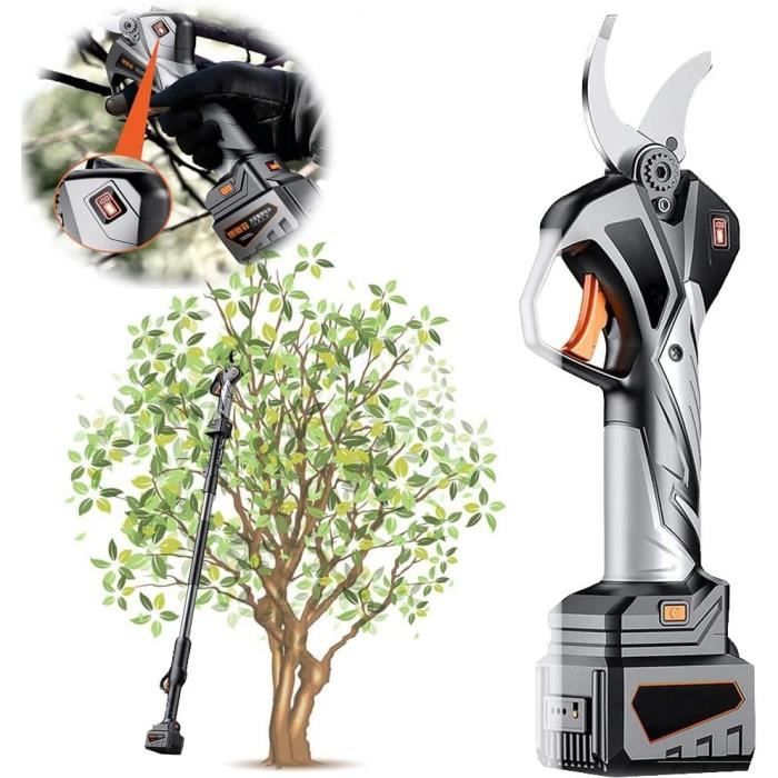 Sécateur Télescopique Ramasse-Fruits - Coupe-Branches Hautes Avec Lame Tranchante Et Clip Élastique Pour Pommes, Persimmon, Jujubes
