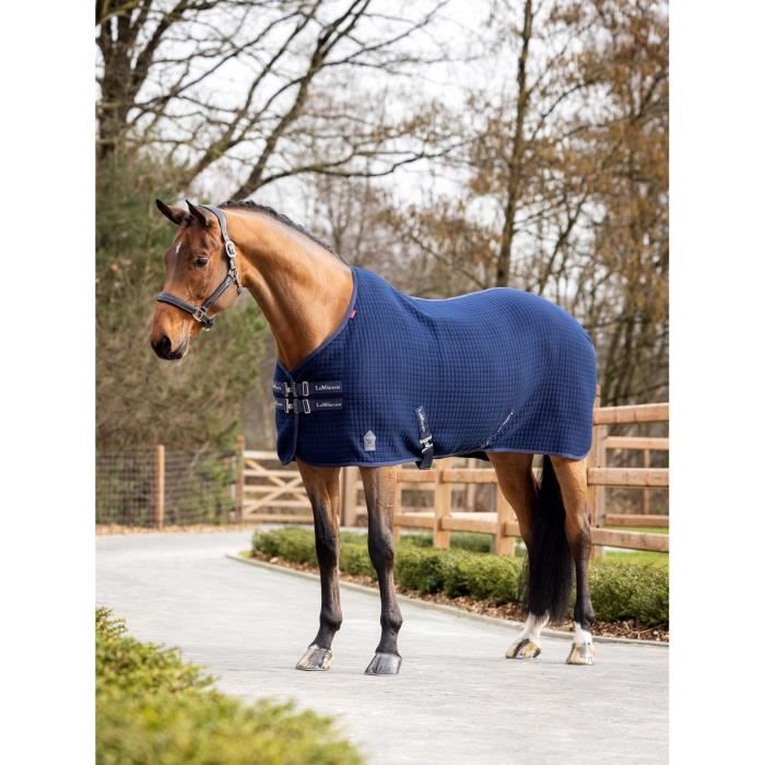 Tirelire Cheval Dans L'Écurie Kremers Schatzkiste - Blanc 14cm - Décoration Cheval Pierre Artificielle