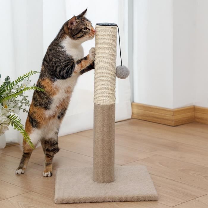 Cadre D Escalade Pour Chat Chat Drole Griffoir Vertical Cdiscount Animalerie