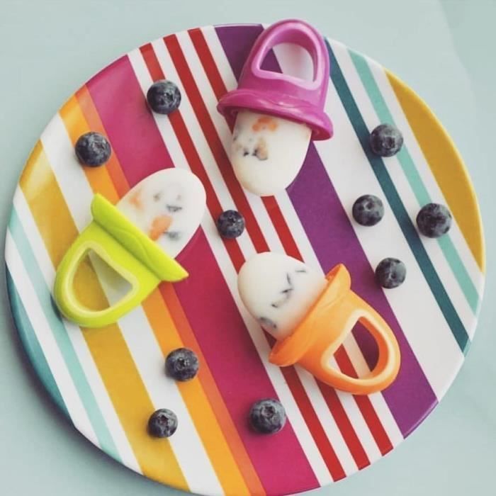 Nuby Moule A Glace Garden Fresh 6m Cdiscount Puericulture Eveil Bebe