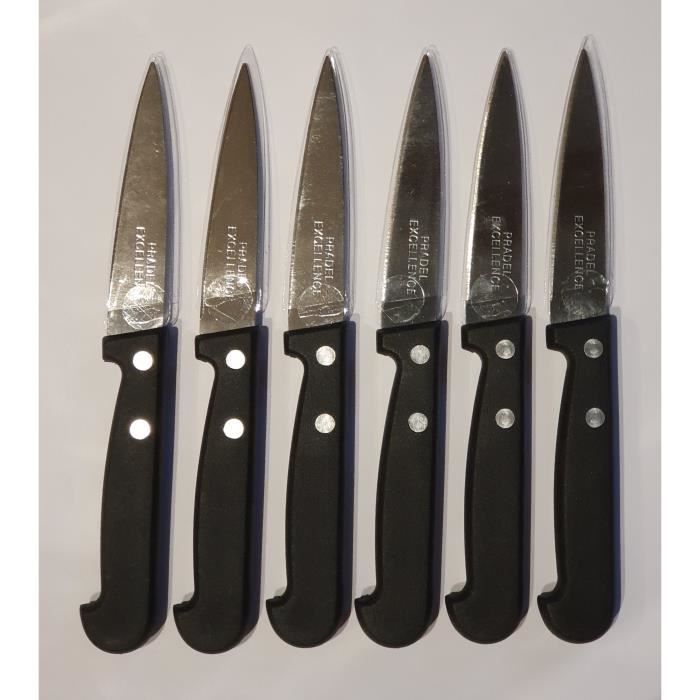 Couteaux X 6 pradel excellence lame en acier inoxydable , manche noir