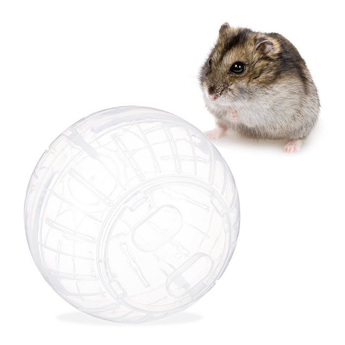 Comparer les prix de Boule hamster, lot de 4, jouet pour rongeurs, accessoire, souris, apport en air optimal, plastique, 14 cm, transparent