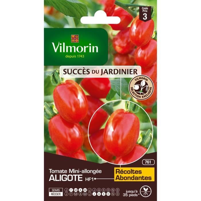 Graines de Tomate Aligote - VILMORIN - Type mini allongé - Rustique et vigoureuse