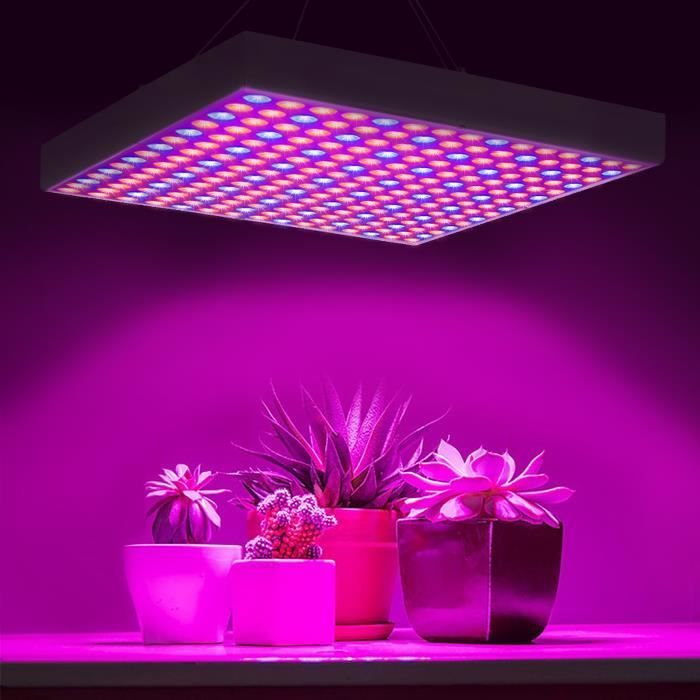 IFutniew Lampe De Croissance LED Spectre Complet USB Pour Plantes - Lumière Soleil Pour Plantes Grasses Et Intérieur