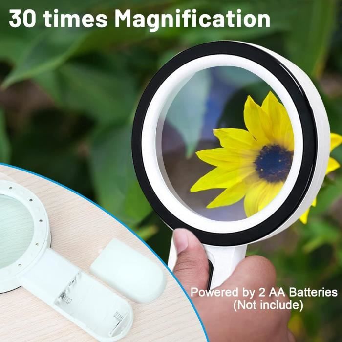 Loupe De Lecture éclairée, Loupe 30X Avec 12 LED Lumière, Loupe Grossissante à Main, Loupe Eclairante Pour Lecture, Bijoux, Seniors, Malvoyant, Observation Et Travaux Manuels (Bouton D'argent