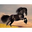 Kit de peinture diamant 5D 5d broderie diamant kit complet diamant cheval strass peinture par numero adulte point de croix Arts Craft Supply for Home Wall Decor 30x40cm