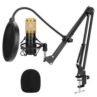 Microphone,Microphone USB E20 PC, micro avec bras Ring Light de 6 pouces, Kit de Studio professionnel Ring Light pour - A-8[D811540]