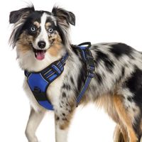Harnais Chien - Gilet pour chien- Bleu taille XL -- Anti Traction Réglable Réfléchissant Matériau Respirant