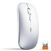 SDLOGAL Souris silencieuse optique sans fil rechargeable 2,4 G 1600 DPI avec récepteur USB, Niveau de batterie visible Argent