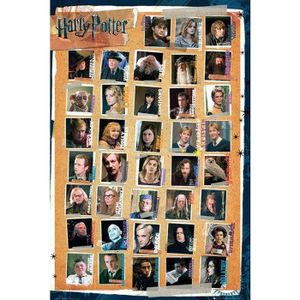 AFFICHE - POSTER Poster les personnages Harry Potter (61 x 91.5cm)
