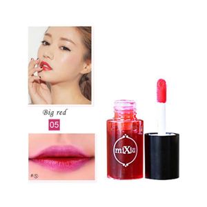 GLOSS Tapez 5-Rouge À Lèvres Brillant Liquide De Haute Qualité, Maquillage Longue Durée, Cosmétiques, Blush Étanche