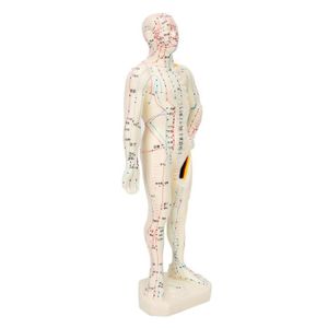 ACCESSOIRE ÉLECTROSTIM Hililand modèle d'acupuncture Outil d'enseignement de modèle de corps humain de point d'acupuncture en PVC unisexe professionnel