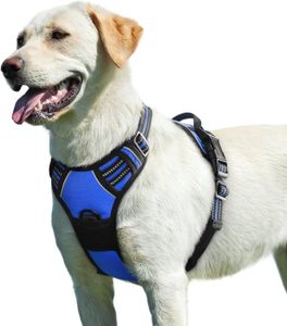 HARNAIS ANIMAL Harnais Chien - Gilet pour chien- Bleu taille XL -- Anti Traction Réglable Réfléchissant Matériau Respirant