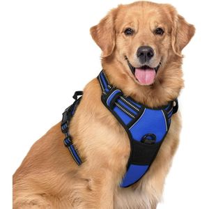 Gilet fluo pour hotsell chien de chasse
