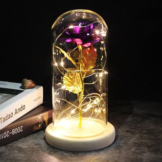 Qoolife Rose Éternelle Dans Verre Avec LED - Cadeau Saint-Valentin Anniversaire Pour Elle